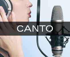 PIC_voz